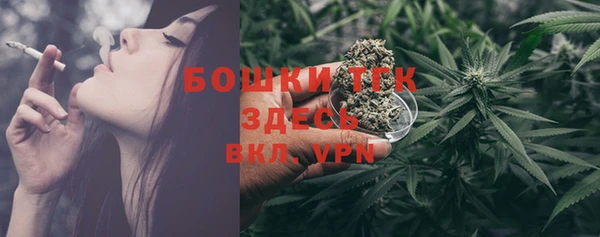 ешки Медногорск