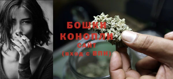 стафф Медвежьегорск