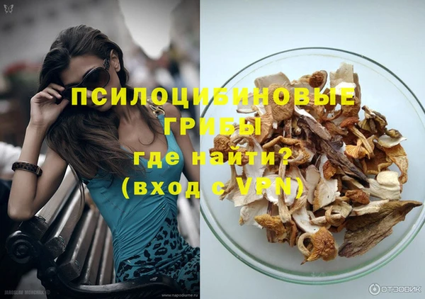 ешки Медногорск