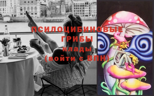 стафф Медвежьегорск