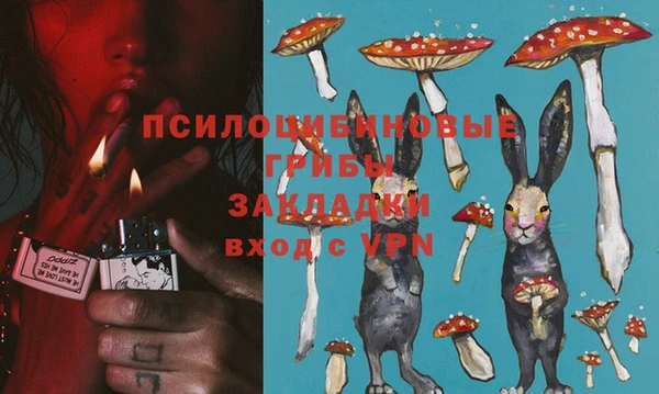 стафф Медвежьегорск