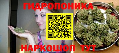 первитин Будённовск