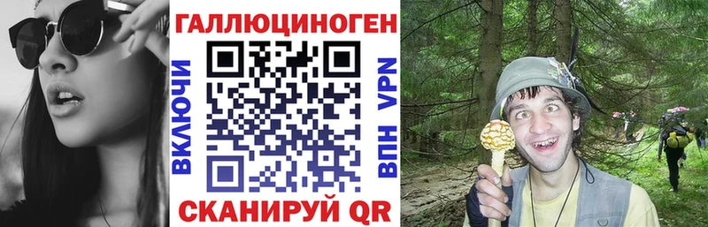 Псилоцибиновые грибы Psilocybe  где можно купить наркотик  Железноводск 