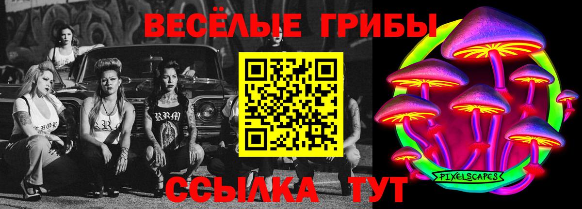 Псилоцибиновые грибы мицелий Железноводск
